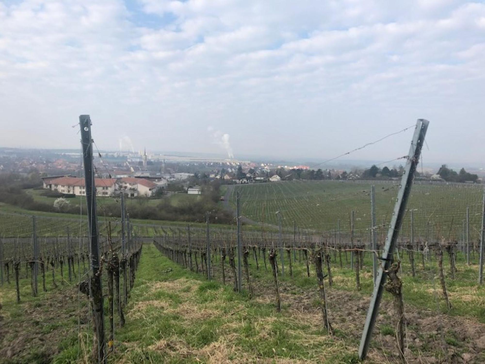 Ferienwohnung Weinberg Markt Einersheim 외부 사진