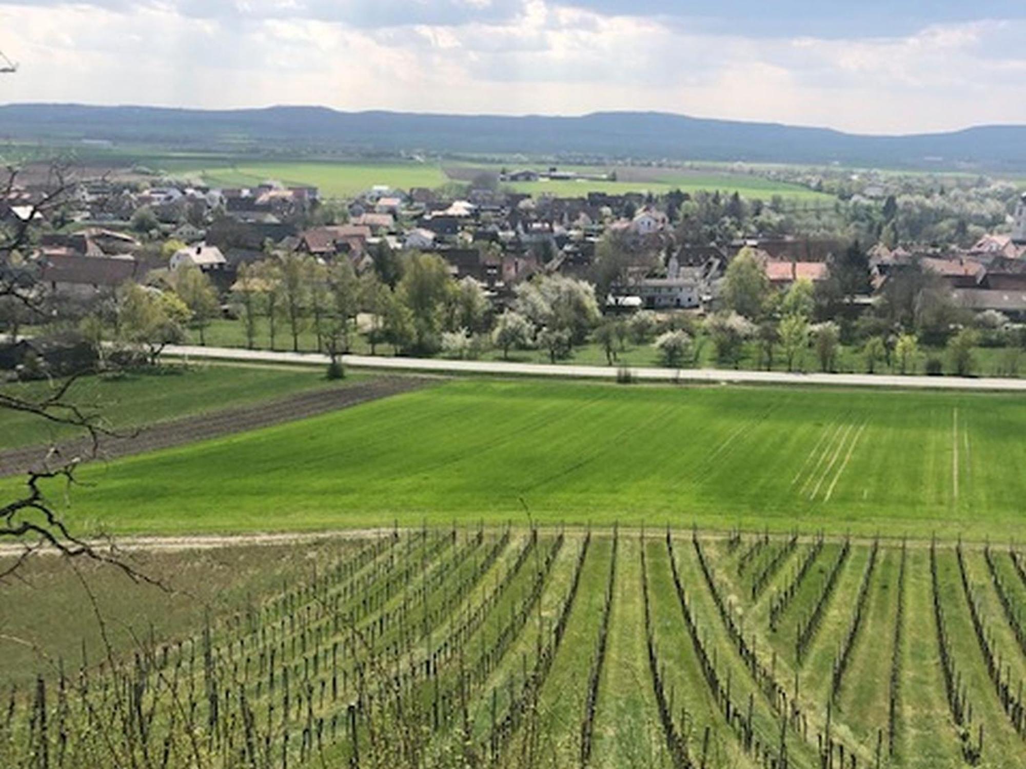 Ferienwohnung Weinberg Markt Einersheim 외부 사진